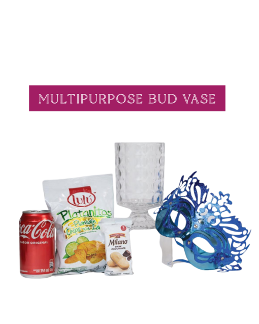 MULTIPURPOSE BUD VASE