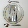 set cubierto stainless steel modelo France-metacrilato gris perlado