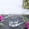 Old Fashioned Whiskey Glass