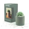 Difusor Succulent Orange & Cedarwood