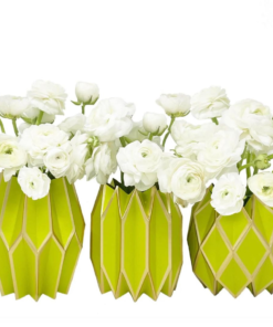 Envolturas para jarrones de flores de color verde manzana